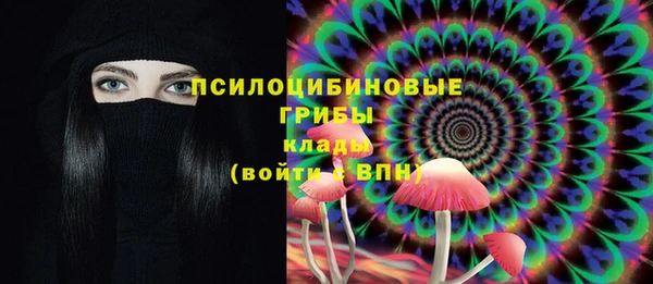 МДПВ Навашино